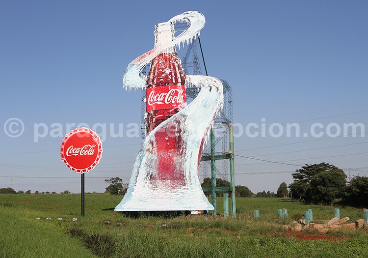 La stevia utilisée dans le Coca Cola