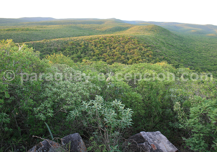 Cerro León, Parque Defensores del Chaco