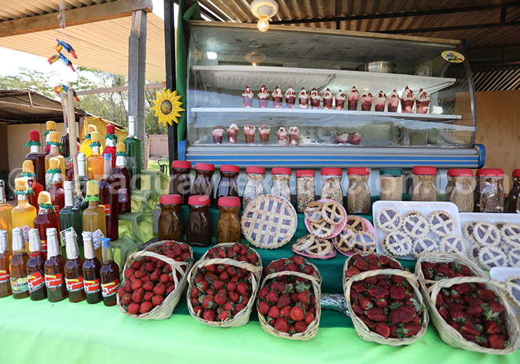 La fête de la Fraise au Paraguay