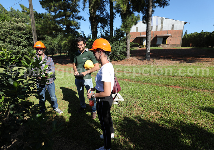 Manufacture Yerba Selecta, Bella Vista