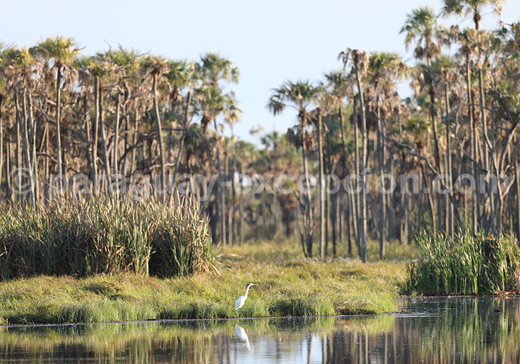 Voyage à la carte Chaco Paraguayen