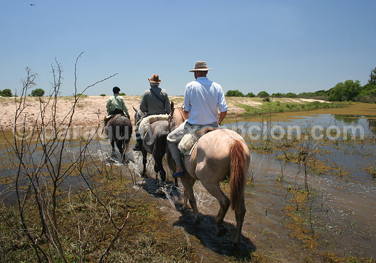 Randonnée à cheval, Esteros del Iberá