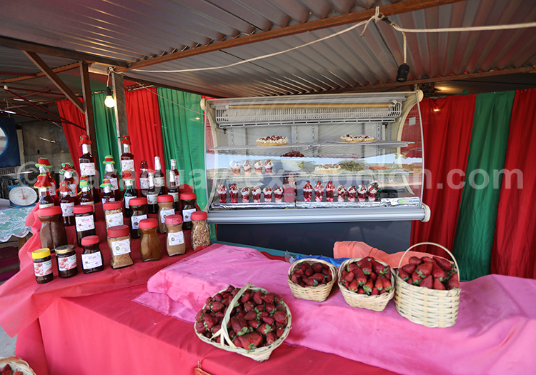 Fraises du Paraguay