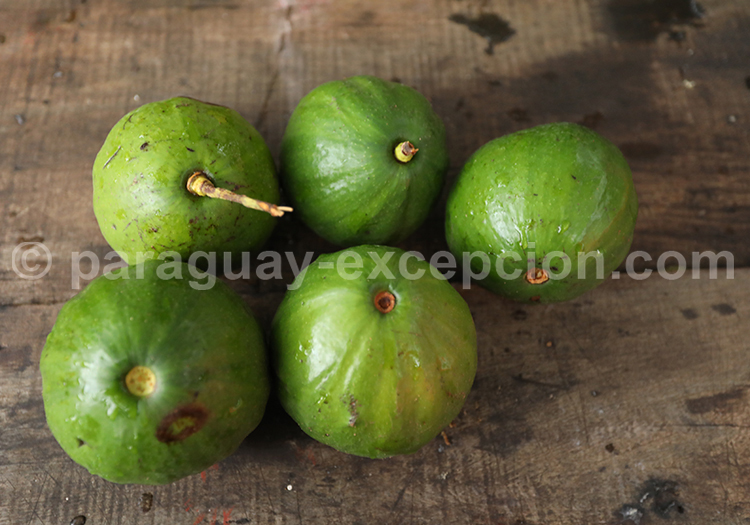 Papaya paraguaya
