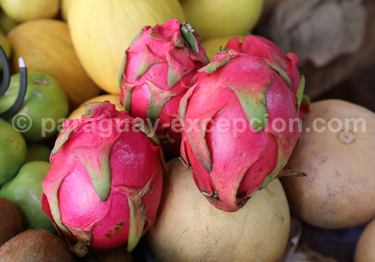 Pitaya, Paraguay