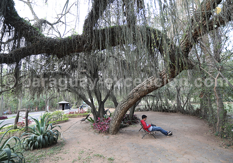 Jardin Botanique, Asunción, Paraguay