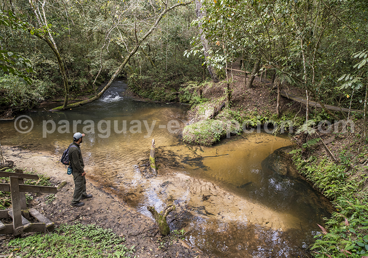 Mbaracayu, Paraguay