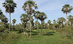Parcs et réserves du Paraguay