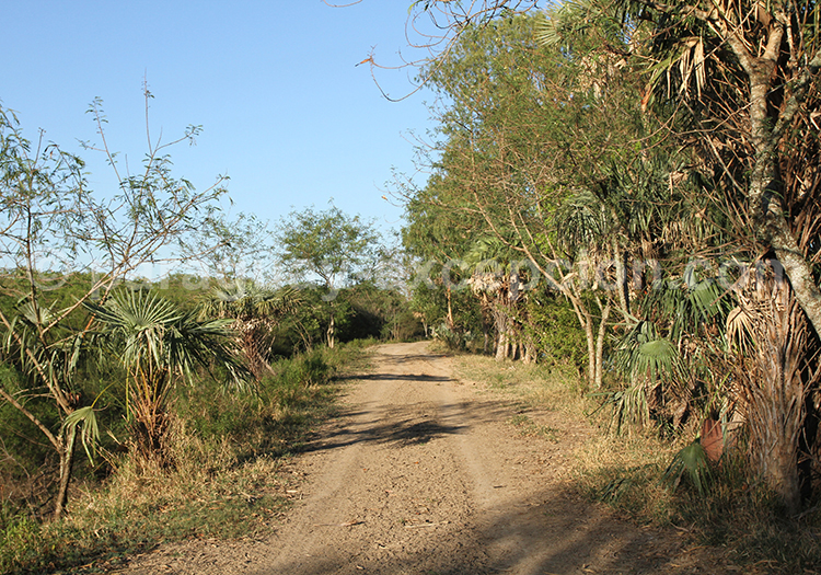 Teniente Agripino Enciso, Paraguay