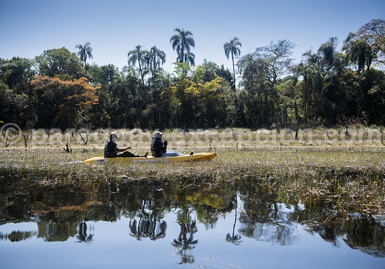 Reserva Mbaracayu, Noreste, Paraguay