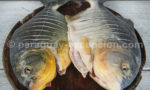 Plats traditionnels du Paraguay